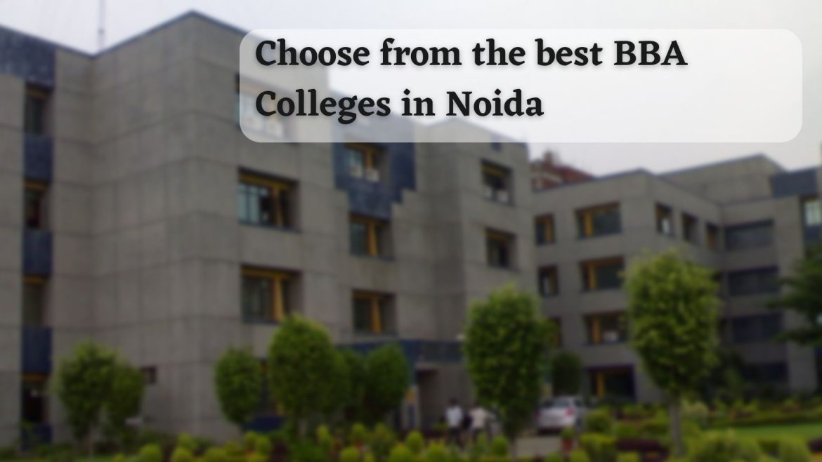 best BBA Colleges in Noida